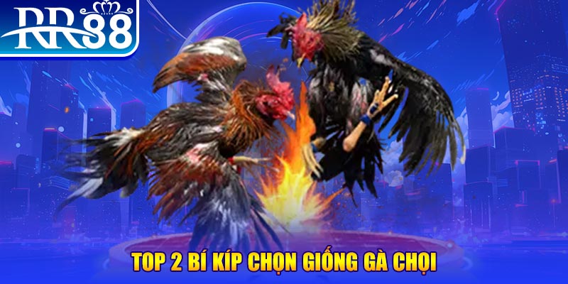 33win01 bắn cá h5