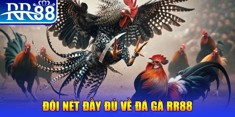 33win01 gà chọi hoà phong