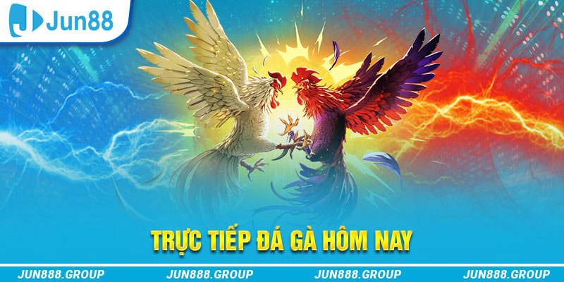 33win01 trực tiếp đá gà thomo