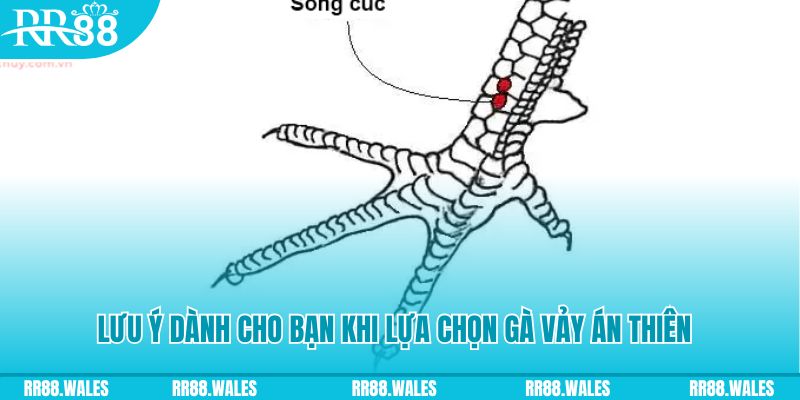 33win01 xổ số khánh hòa