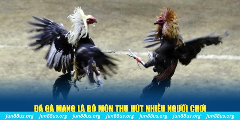 33win01 xổ số long an