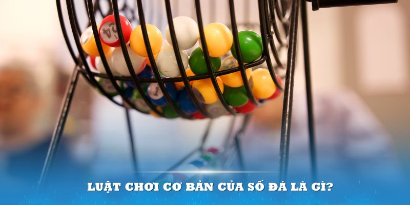 33win01 Đĩa màu ace