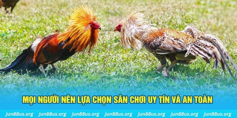 33win01 Tài Xỉu