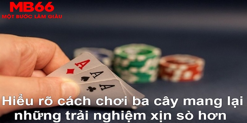 33win01 DB Trực Tuyến